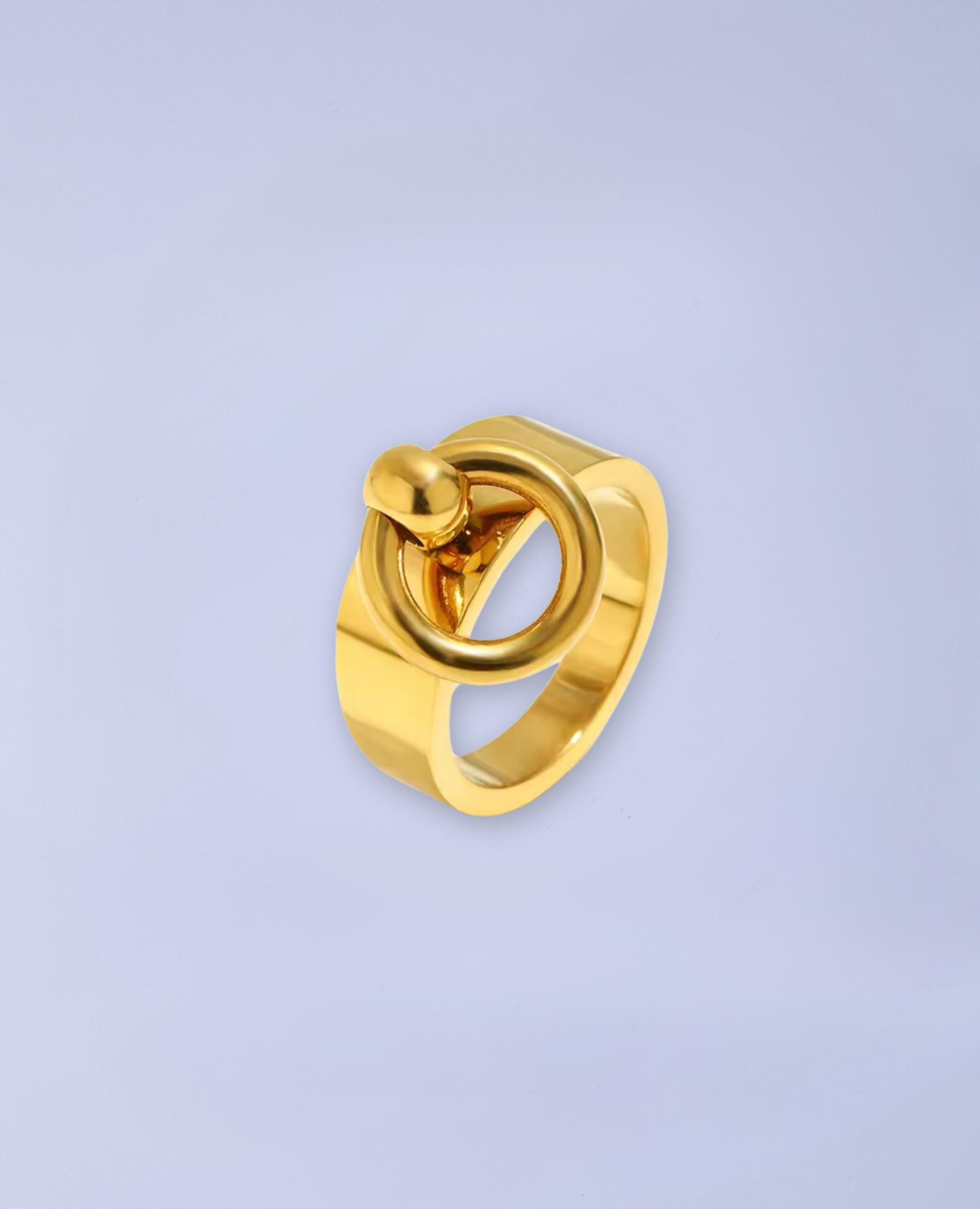 Floating O Ring