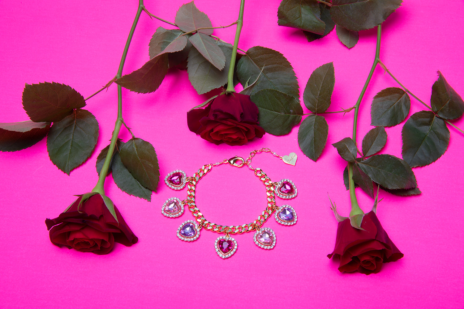 Pretty Pretty Princess Charm Bracelet