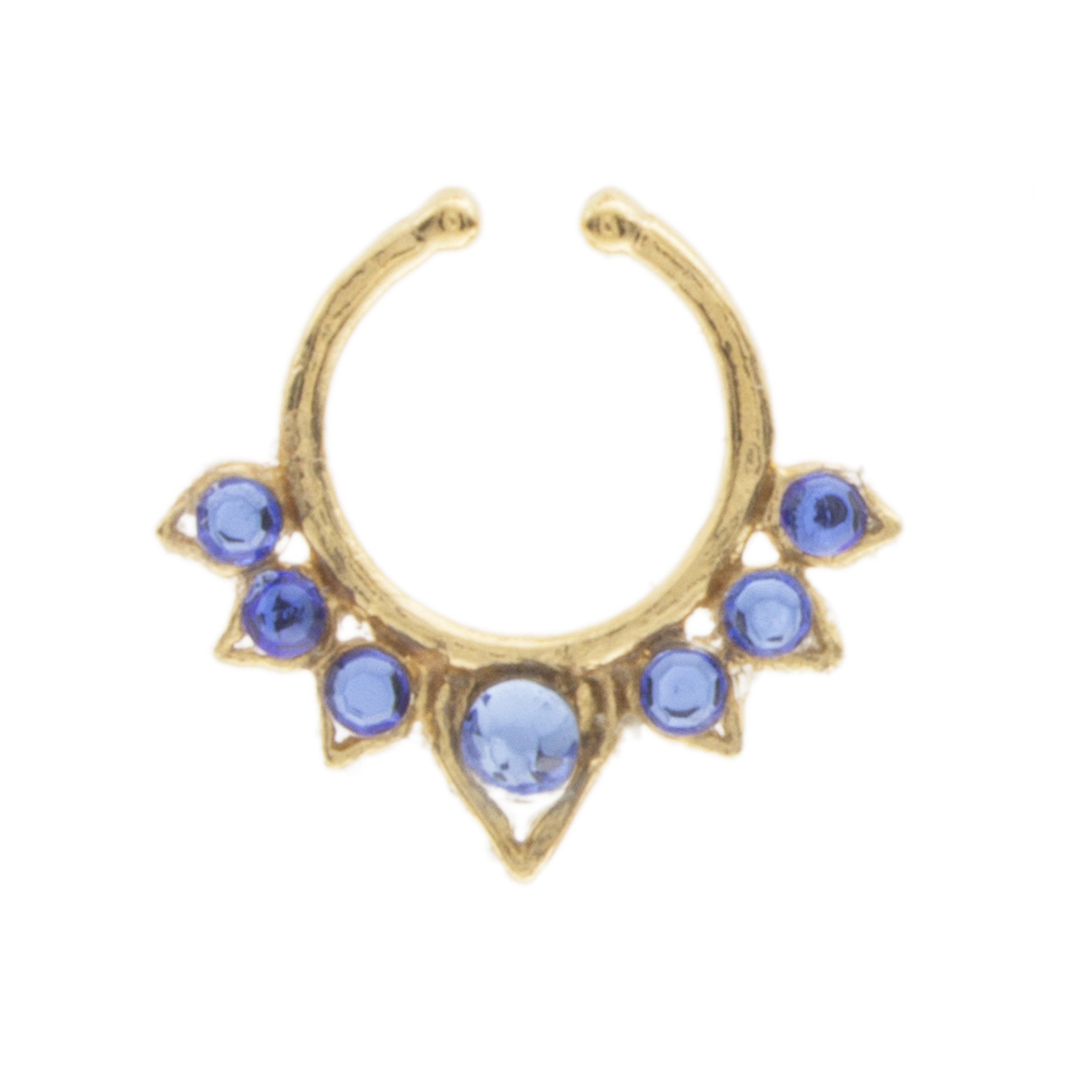 Fancy Indigo Aurora Clip