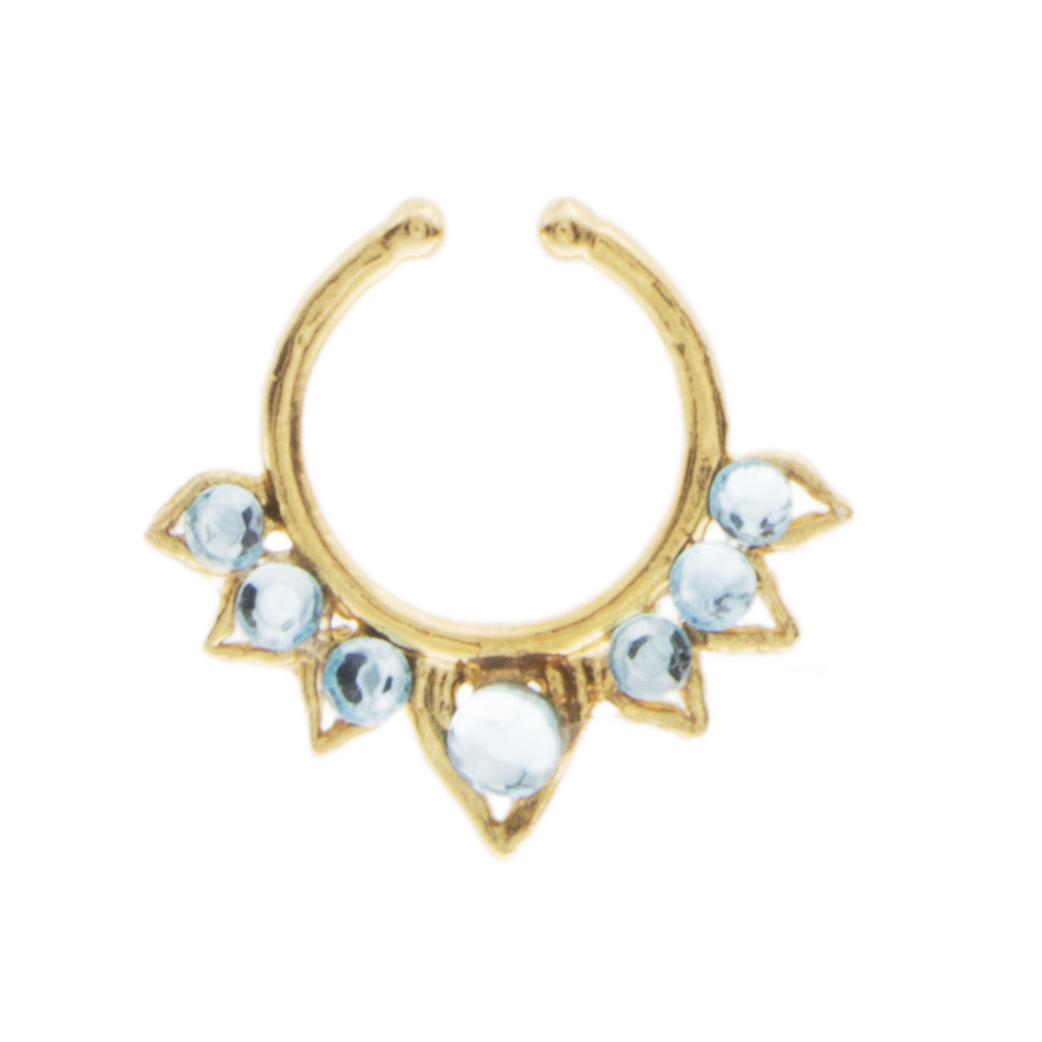 Fancy Aqua Aurora Clip