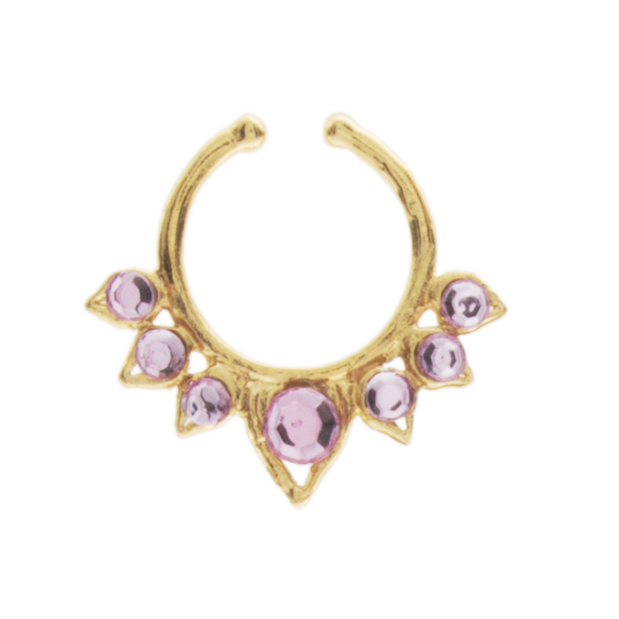 Fancy Pink Aurora Clip