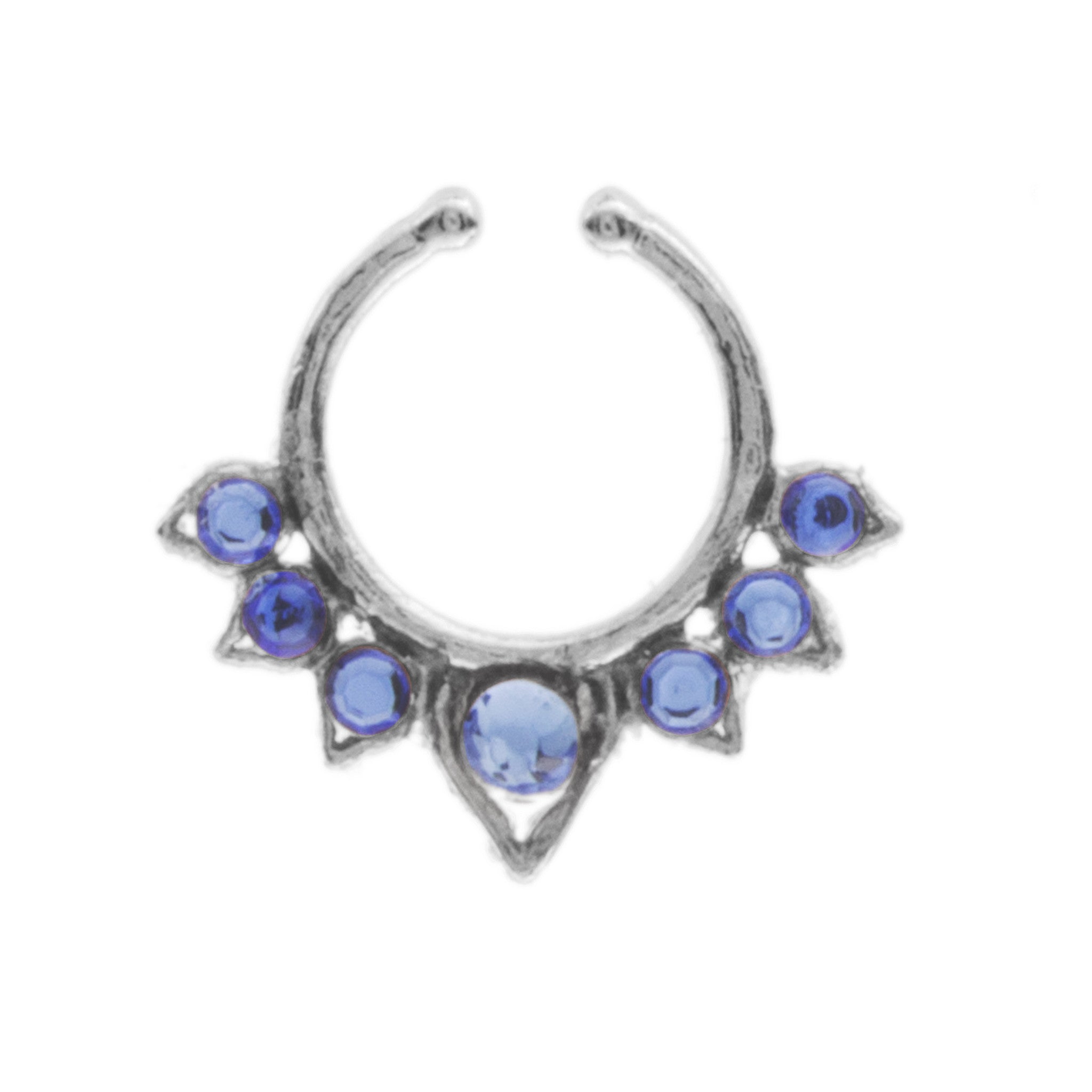 Fancy Indigo Aurora Clip