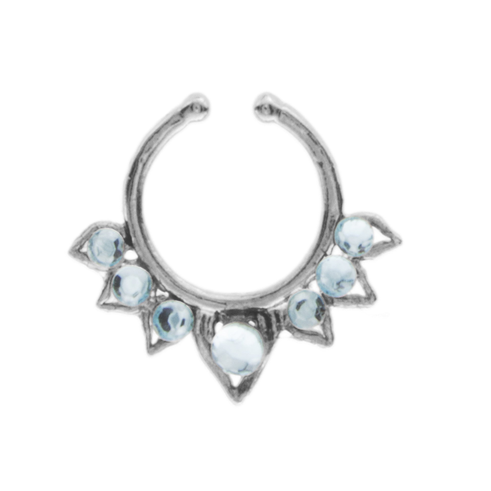 Fancy Aqua Aurora Clip