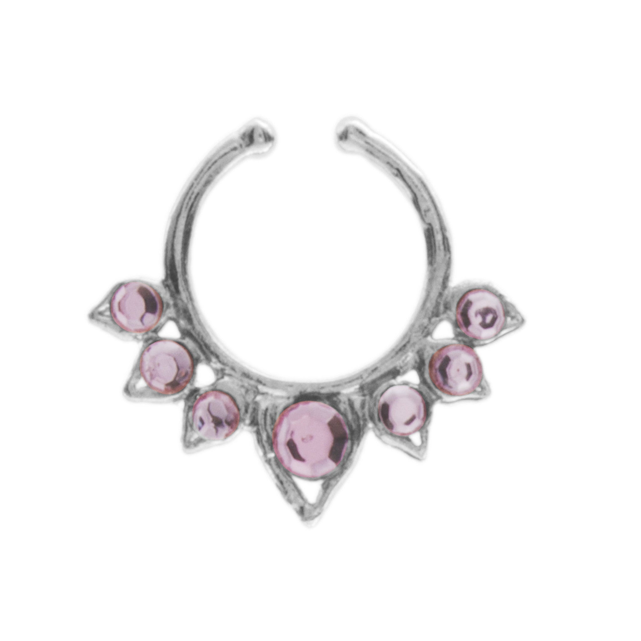 Fancy Pink Aurora Clip