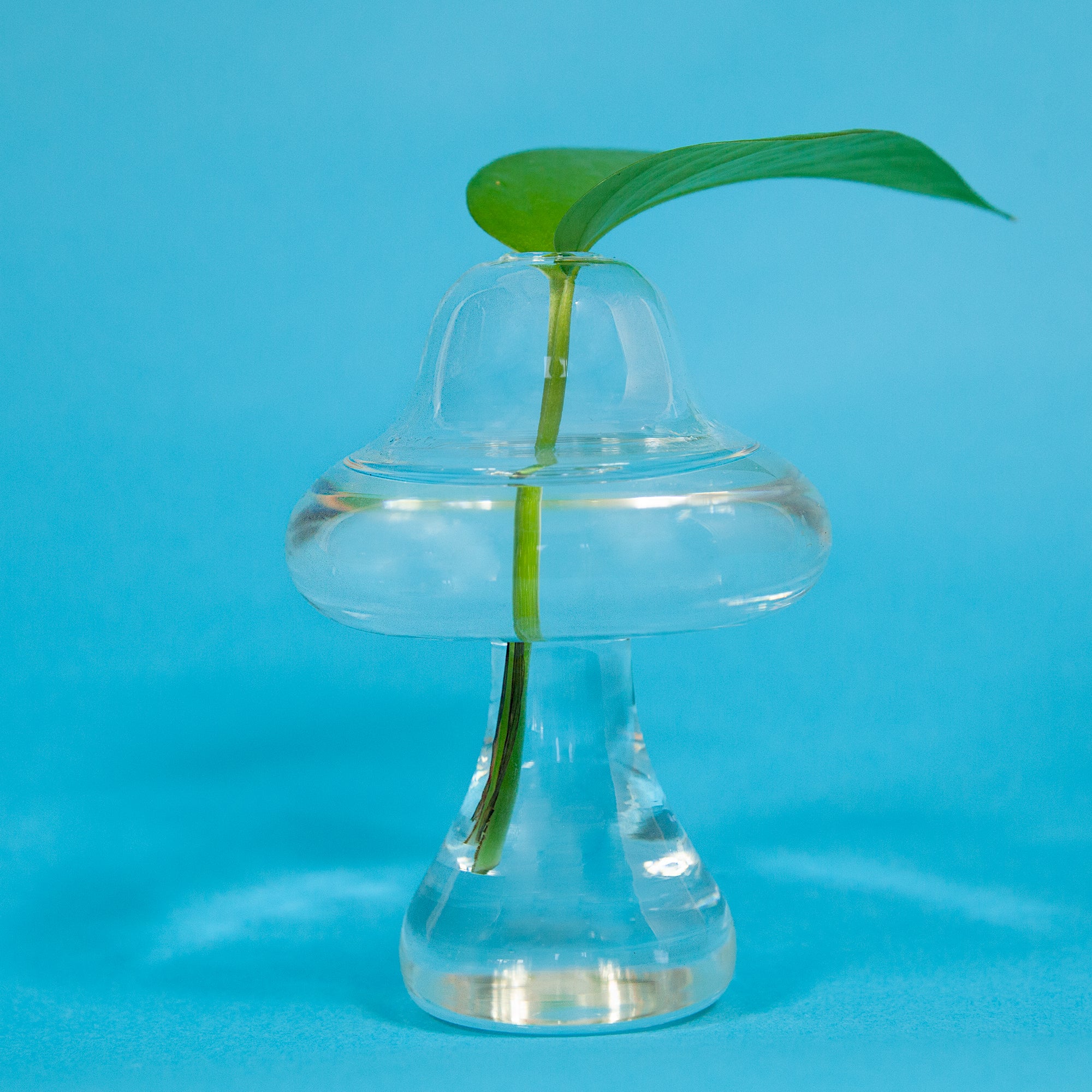 Mushroom Vase