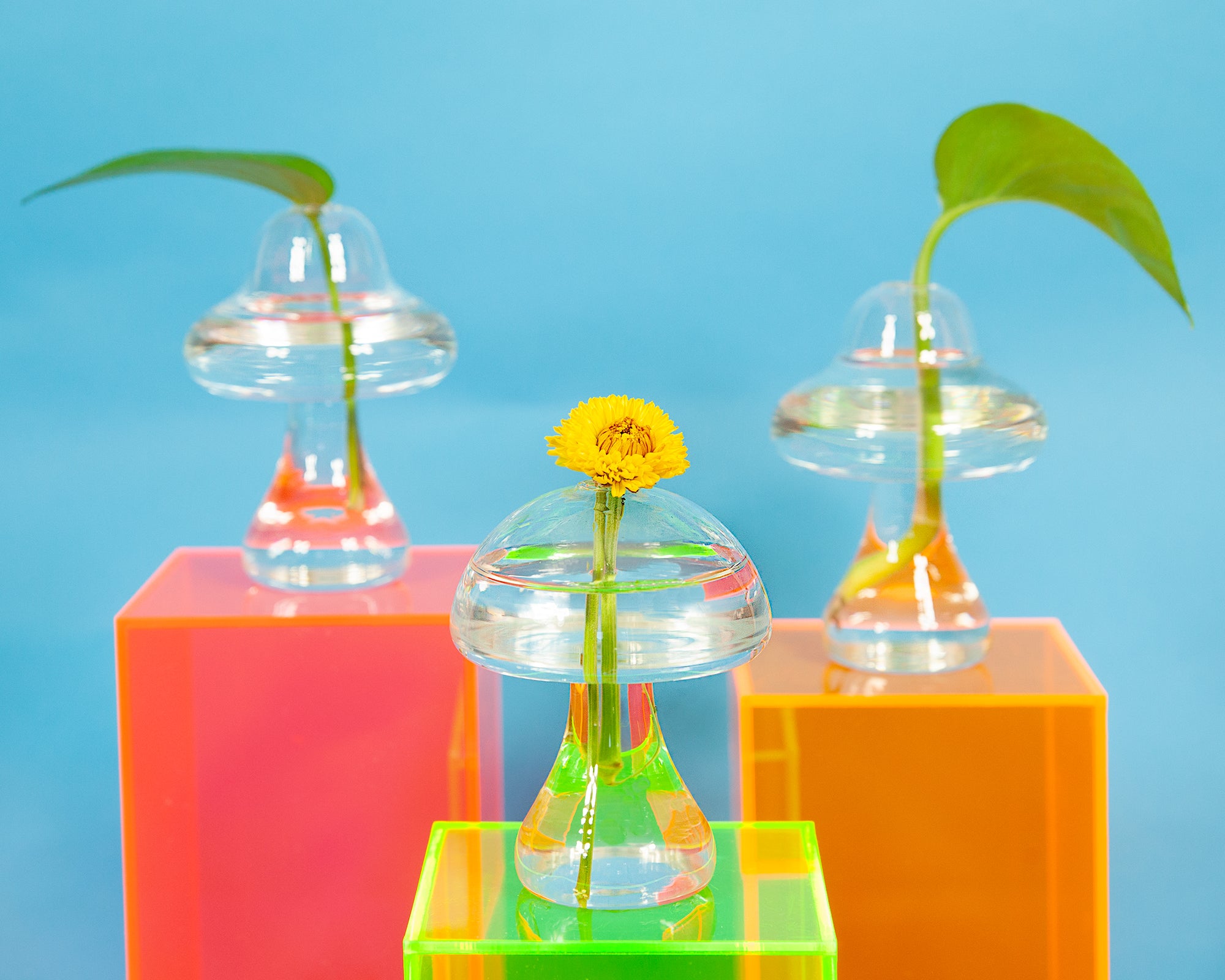 Mushroom Vase