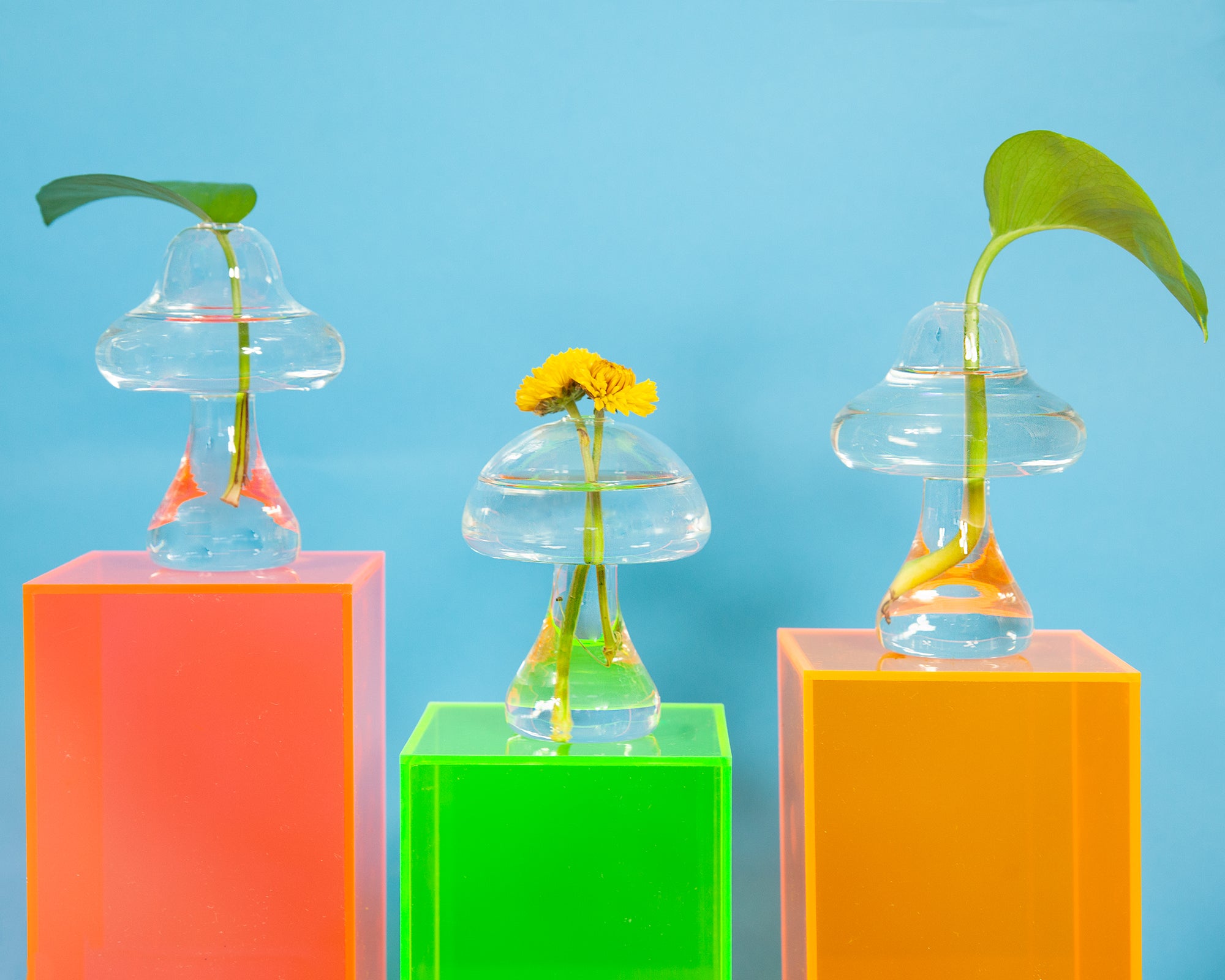 Mushroom Vase