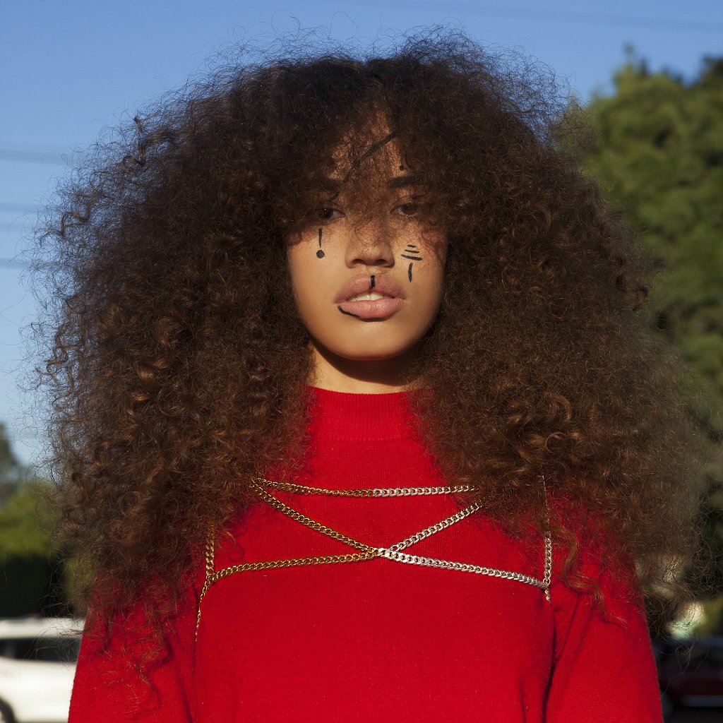 Fancy Duotone Mini Tank