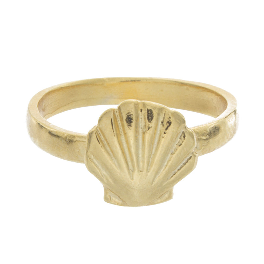 Shell Knuckle Ring