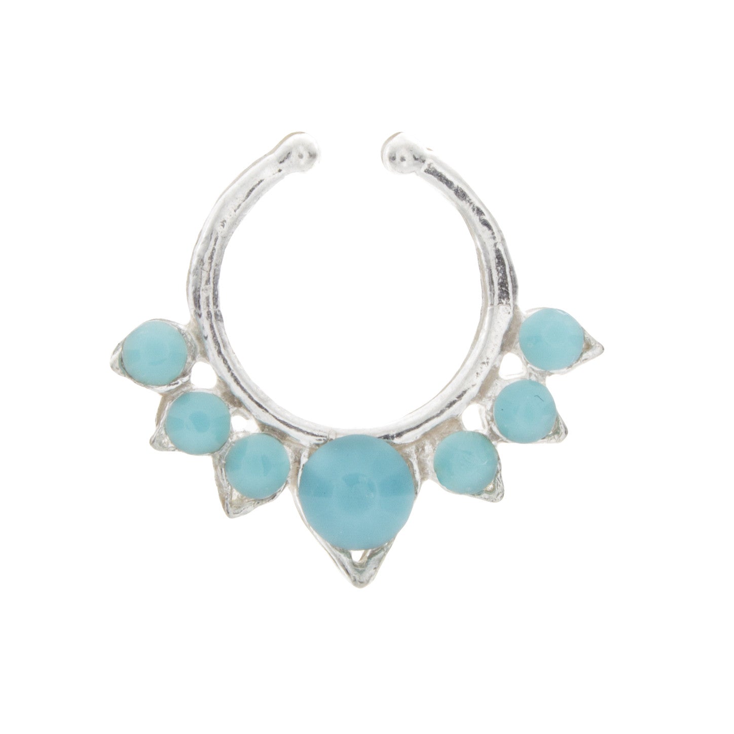 Fancy Turquoise Aurora Clip