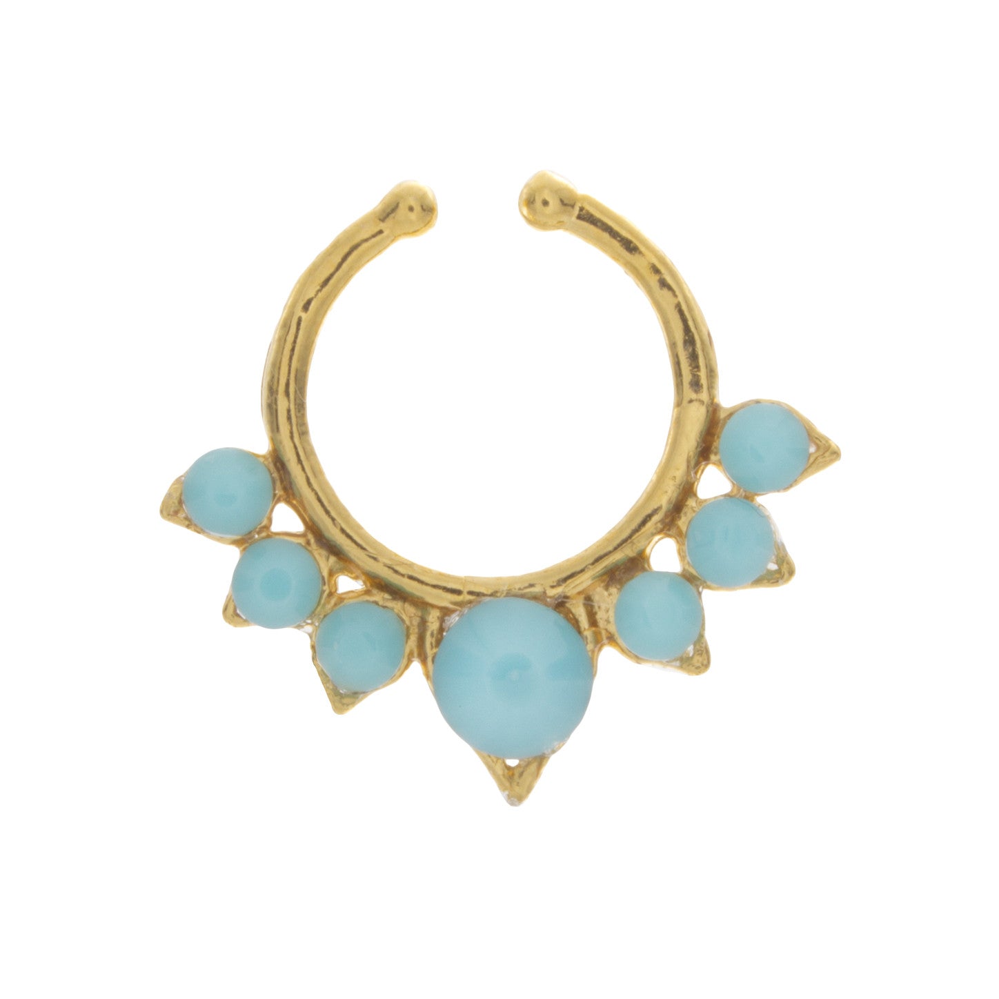 Fancy Turquoise Aurora Clip