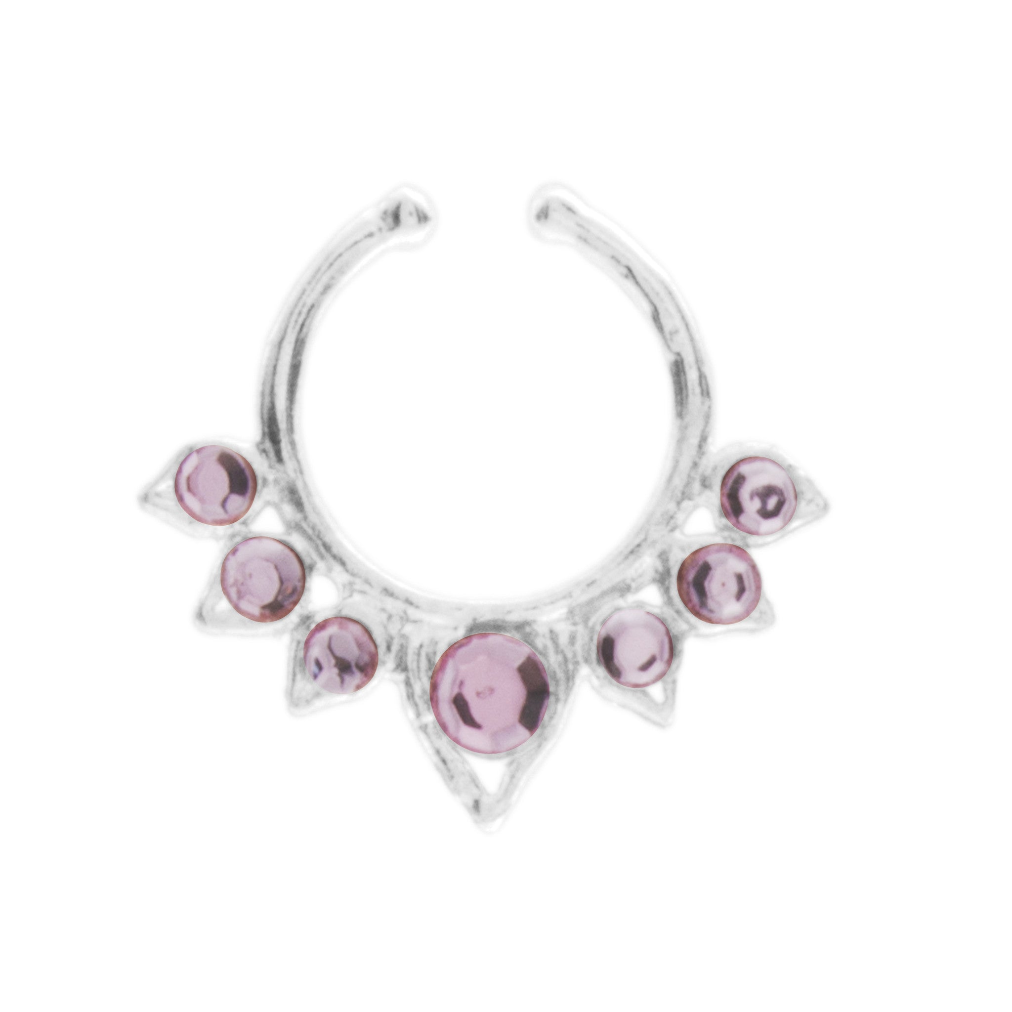 Fancy Pink Aurora Clip