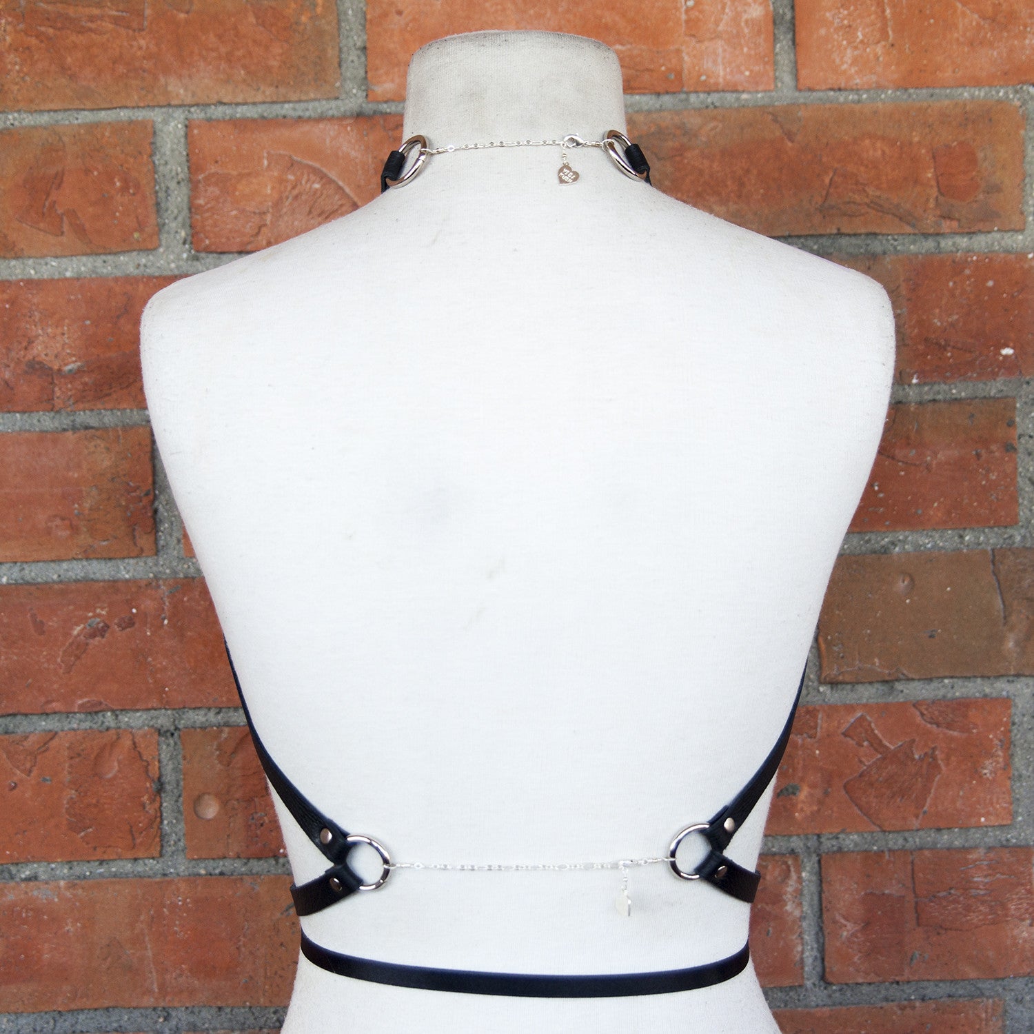 Why Are You Staring Leather Harness