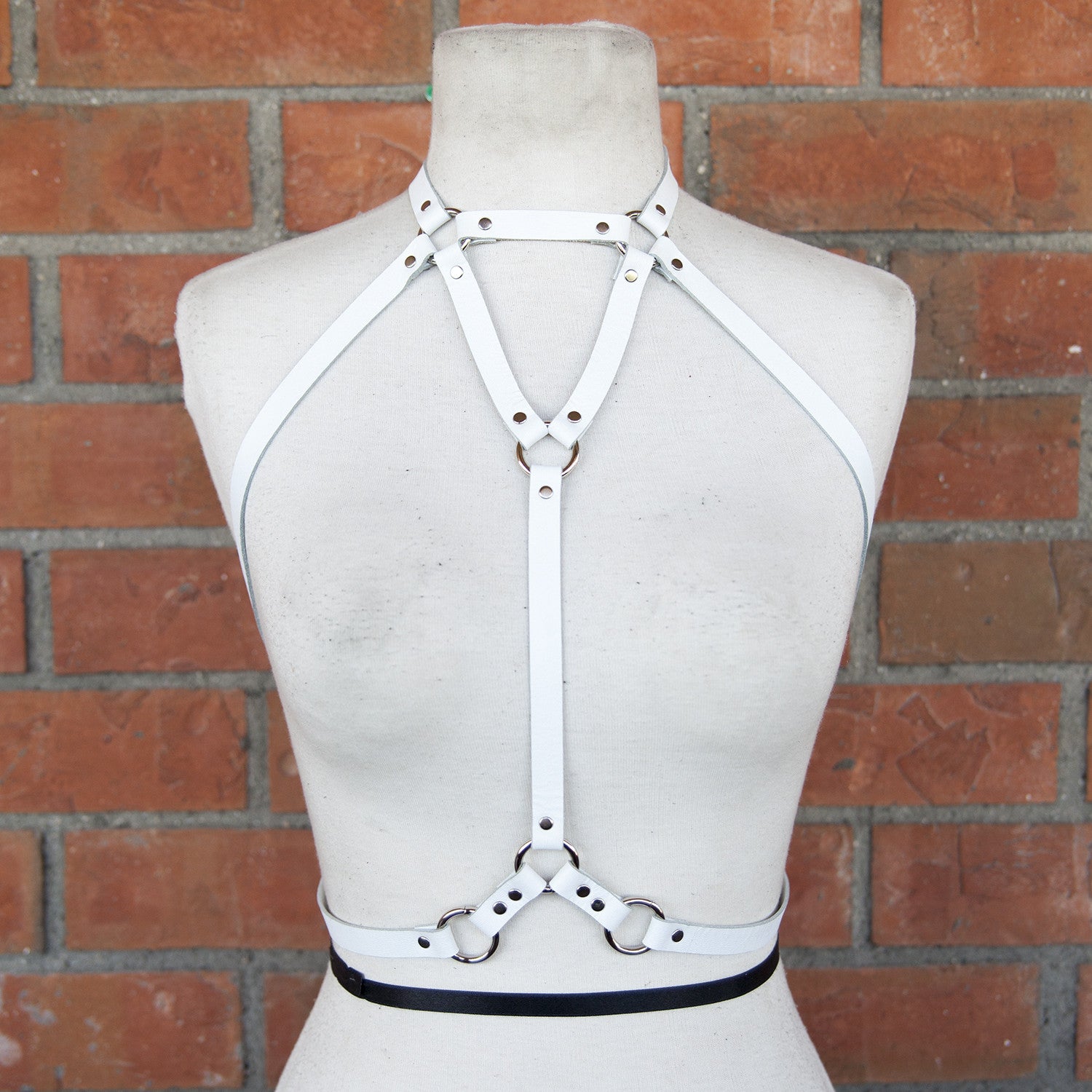 Why Are You Staring Leather Harness